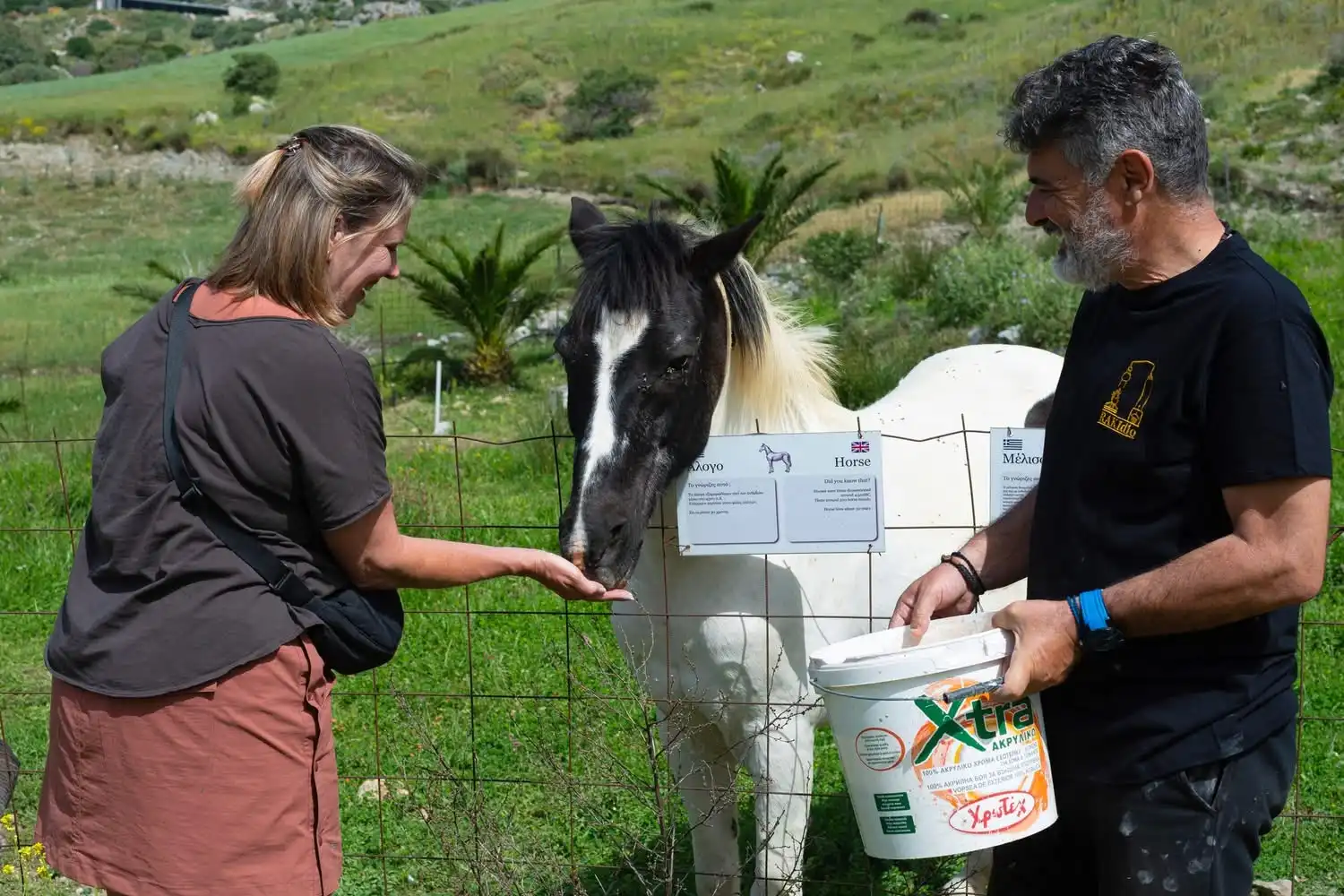 Feed the animals